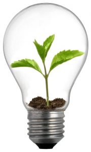 IPM: Green Pest Solutions 