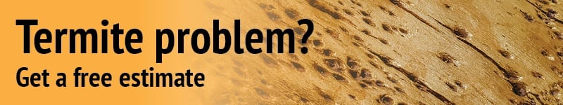 New call-to-action