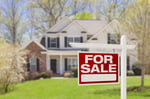 Termites & Real Estate Transactions