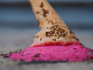pavement ants on an ice cream cone
