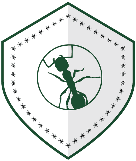 Artboard