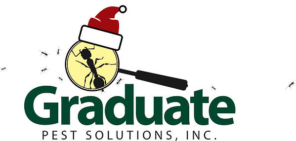 Graduate Logo Holiday