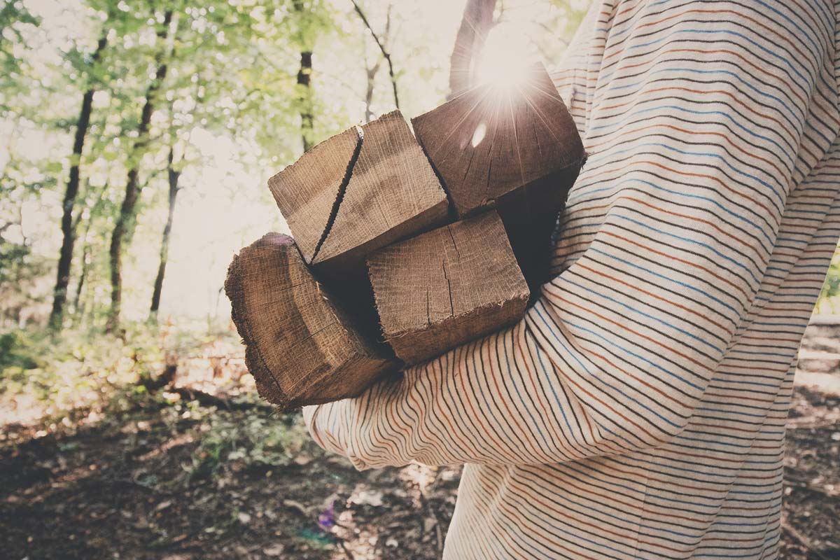 person carrying firewood
