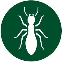 Termite-Control