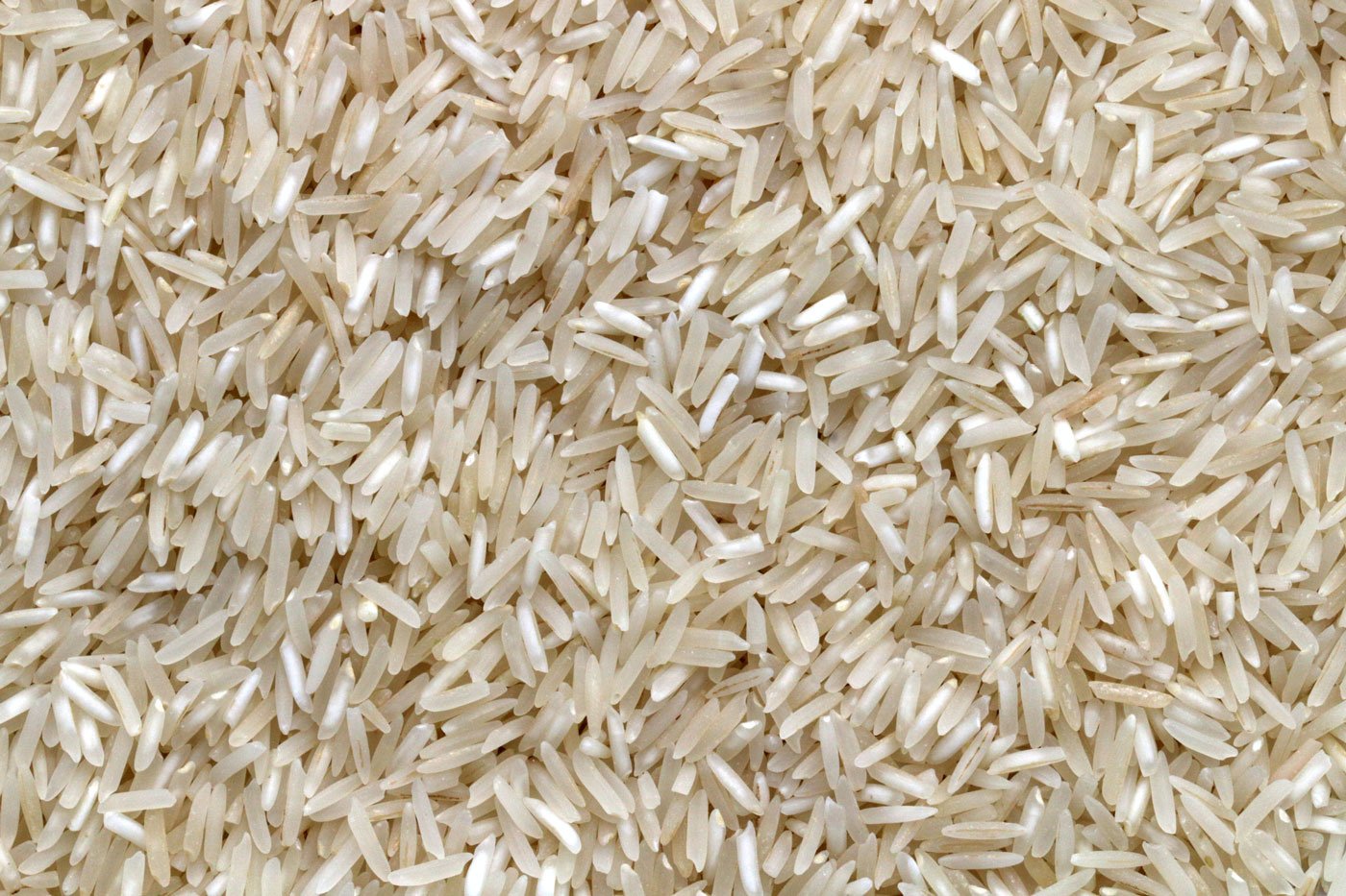 grains of rice