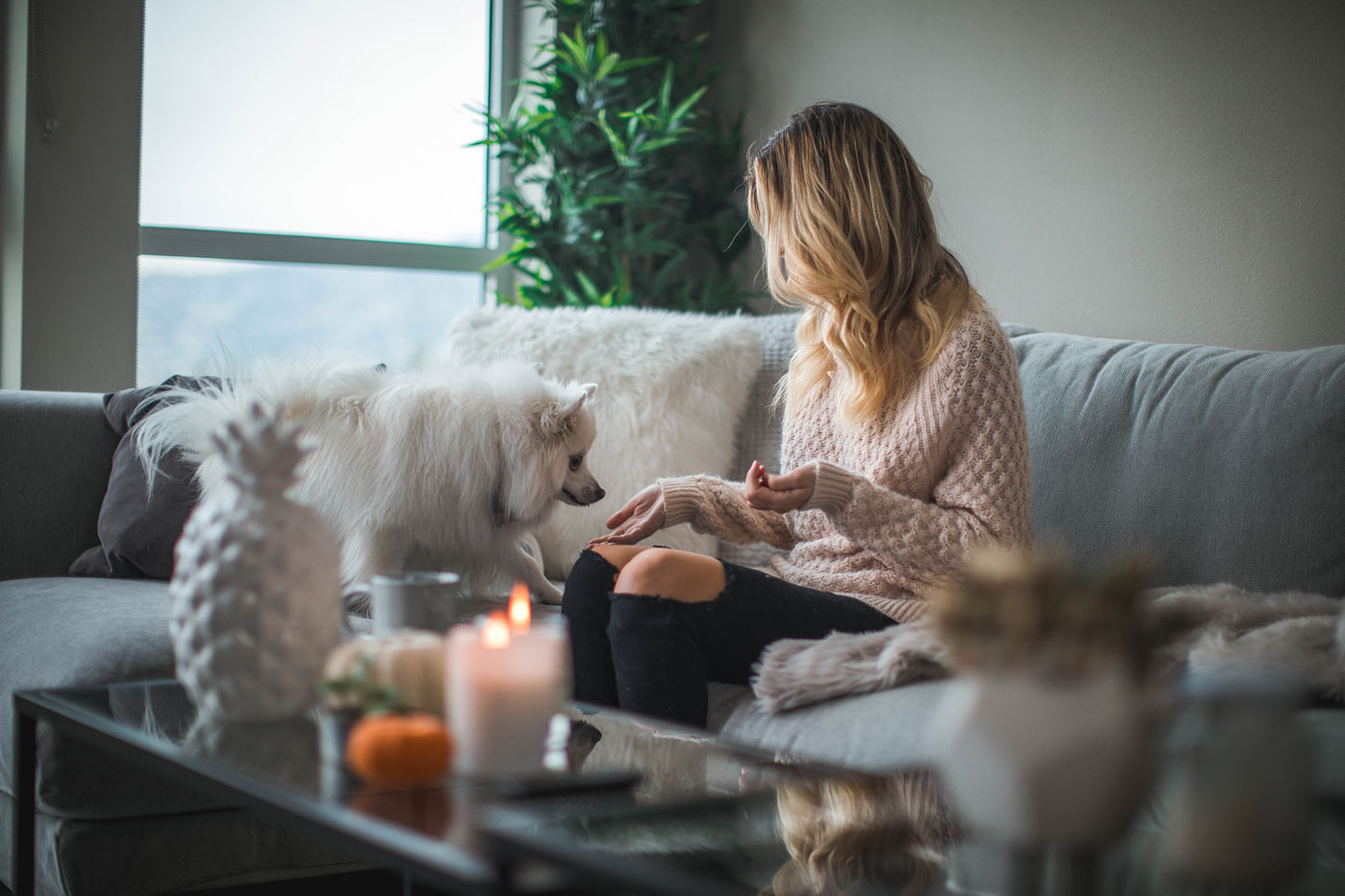 winter-home-with-dog-and-person